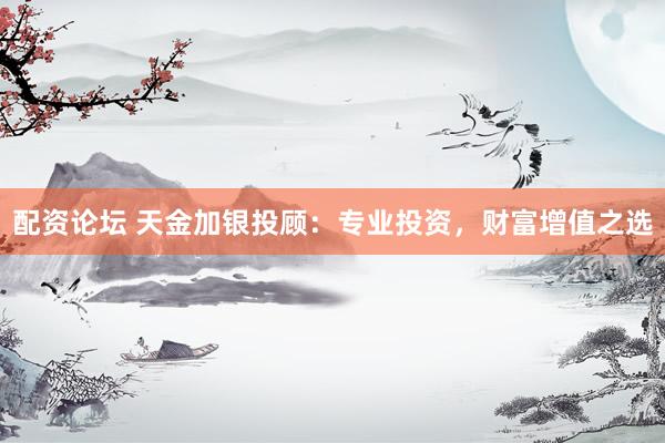 配资论坛 天金加银投顾：专业投资，财富增值之选
