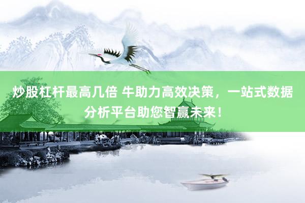 炒股杠杆最高几倍 牛助力高效决策，一站式数据分析平台助您智赢未来！