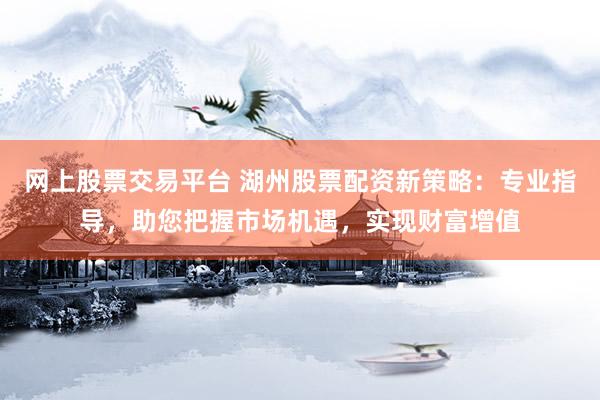 网上股票交易平台 湖州股票配资新策略：专业指导，助您把握市场机遇，实现财富增值