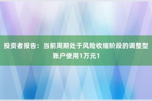 投资者报告：当前周期处于风险收缩阶段的调整型账户使用1万元1