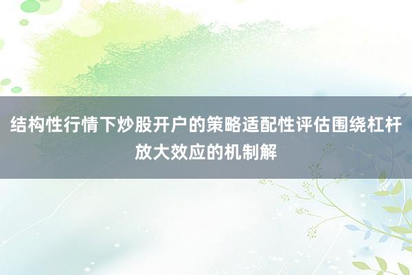 结构性行情下炒股开户的策略适配性评估围绕杠杆放大效应的机制解