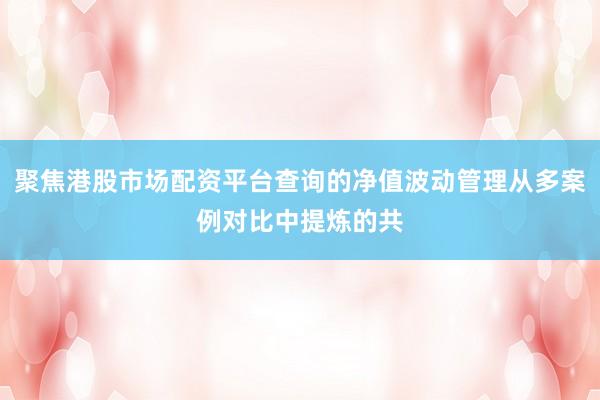 聚焦港股市场配资平台查询的净值波动管理从多案例对比中提炼的共