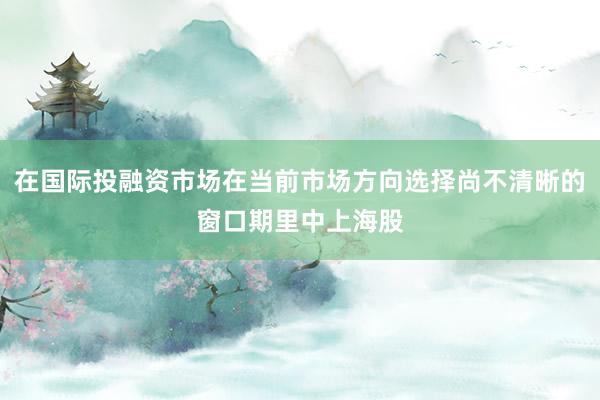 在国际投融资市场在当前市场方向选择尚不清晰的窗口期里中上海股