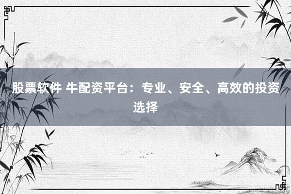 股票软件 牛配资平台：专业、安全、高效的投资选择
