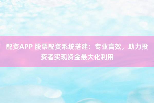 配资APP 股票配资系统搭建：专业高效，助力投资者实现资金最大化利用