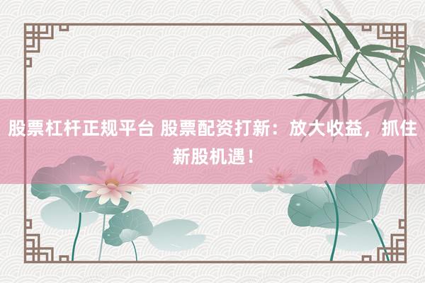 股票杠杆正规平台 股票配资打新：放大收益，抓住新股机遇！
