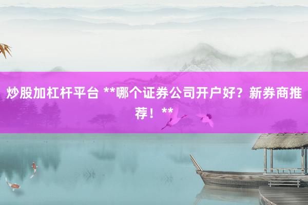 炒股加杠杆平台 **哪个证券公司开户好？新券商推荐！**