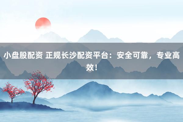 小盘股配资 正规长沙配资平台：安全可靠，专业高效！