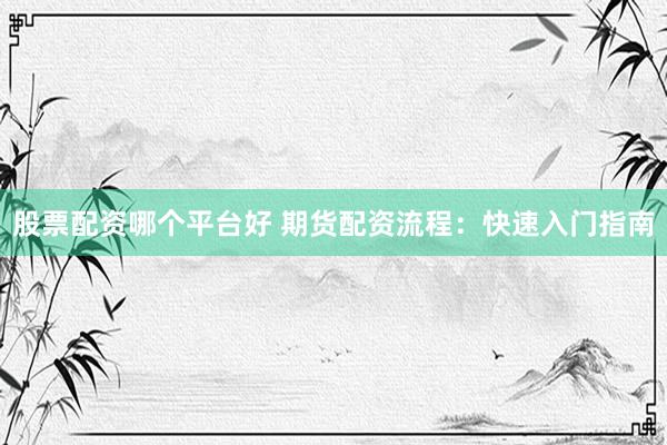股票配资哪个平台好 期货配资流程：快速入门指南