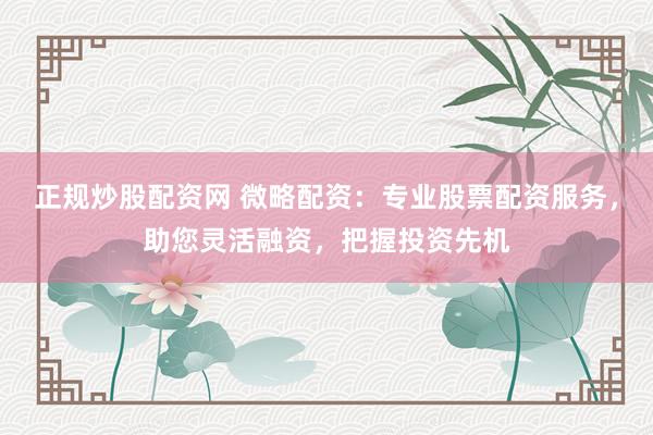 正规炒股配资网 微略配资：专业股票配资服务，助您灵活融资，把握投资先机