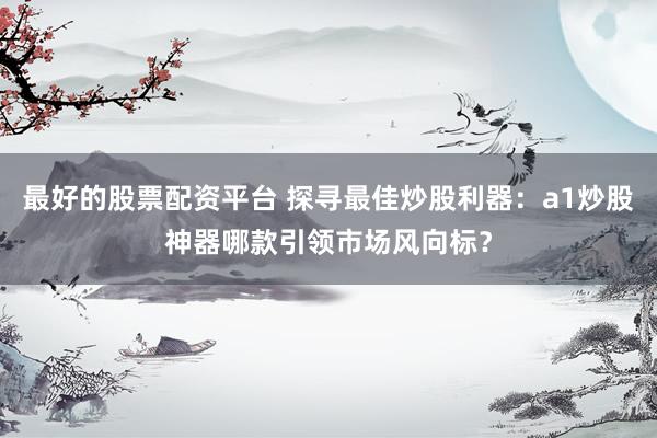 最好的股票配资平台 探寻最佳炒股利器：a1炒股神器哪款引领市场风向标？